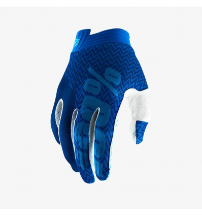 iTRACK Blue/Navy Gloves